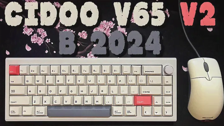 CIDOO V65 v2 ОБЗОР В 2024 | МОДДИНГ | КОНКУРЕНТЫ
