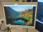 Монитор Fujitsu Siemens L9ZA 19"