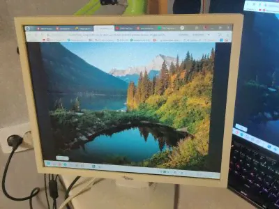 Монитор Fujitsu Siemens L9ZA 19"